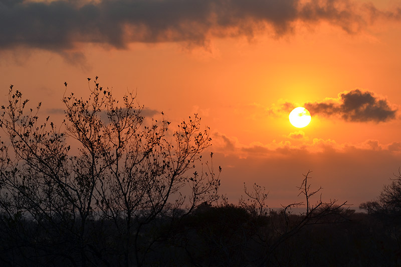 trip_africa_sunset